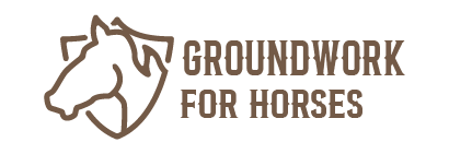 Groundwork For Horses